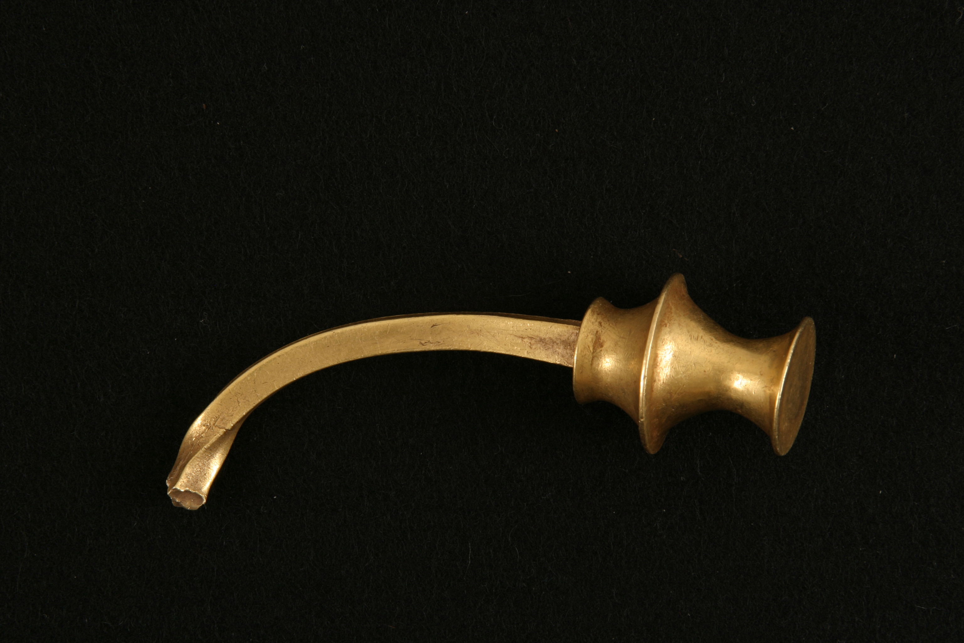 Fragmento terminal de torques