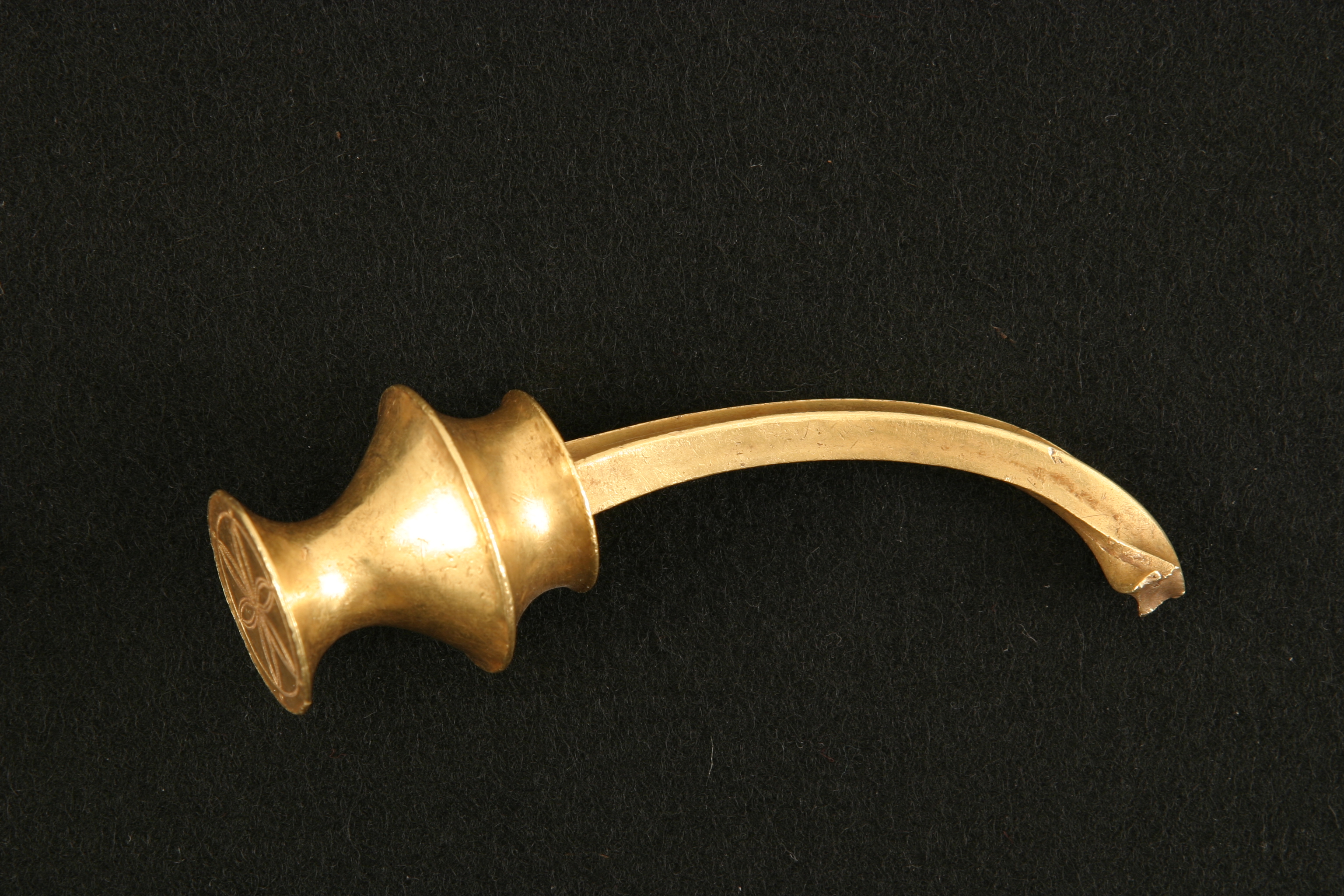 Fragmento terminal de torques